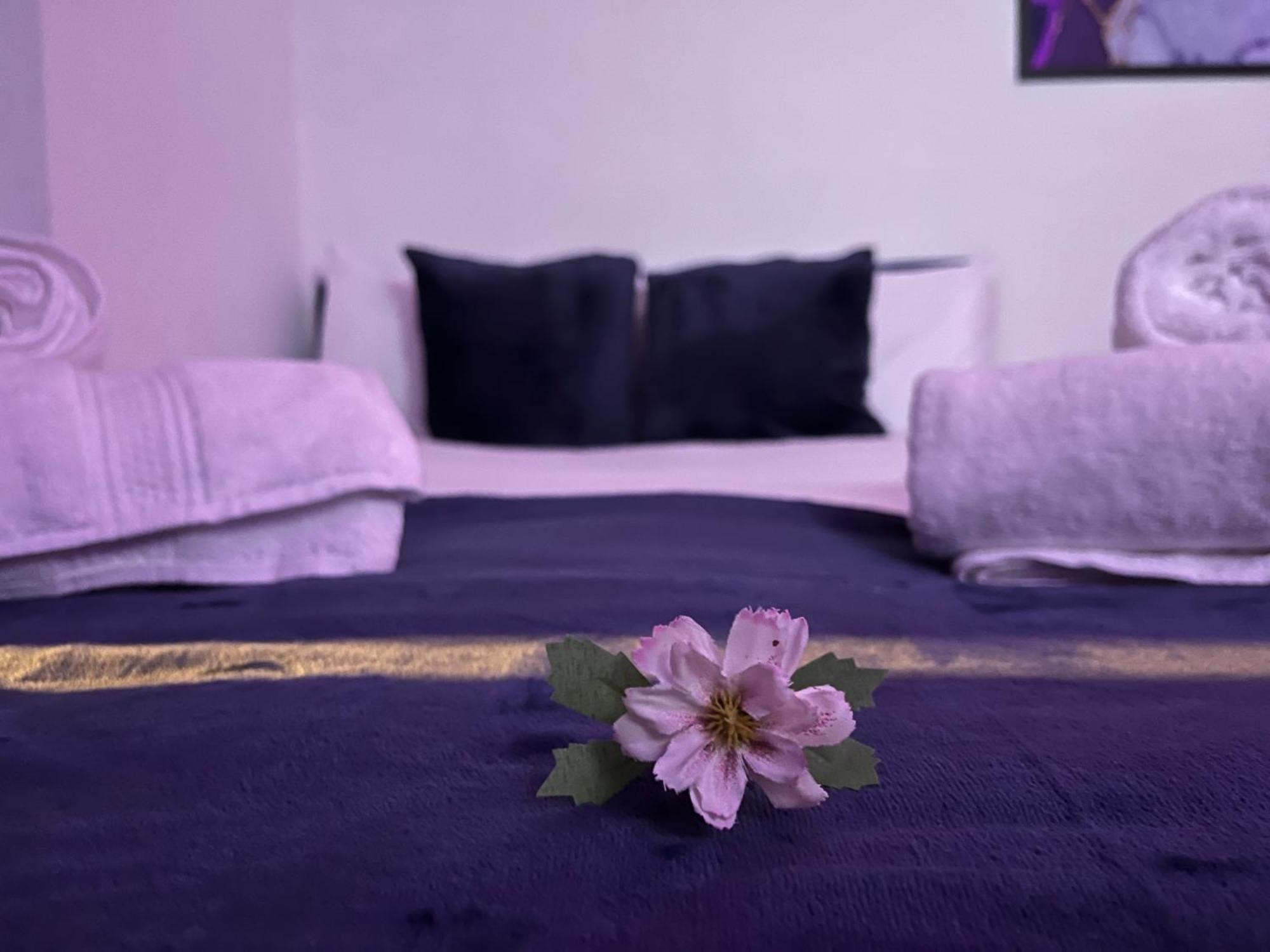 Apartment In Camden, Central Location Londyn Zewnętrze zdjęcie